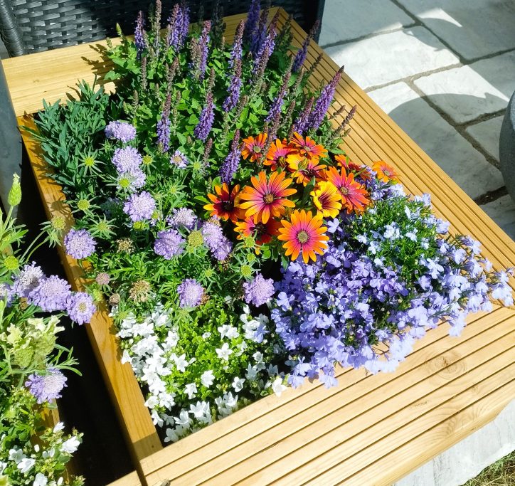 Blue and Orange Planter