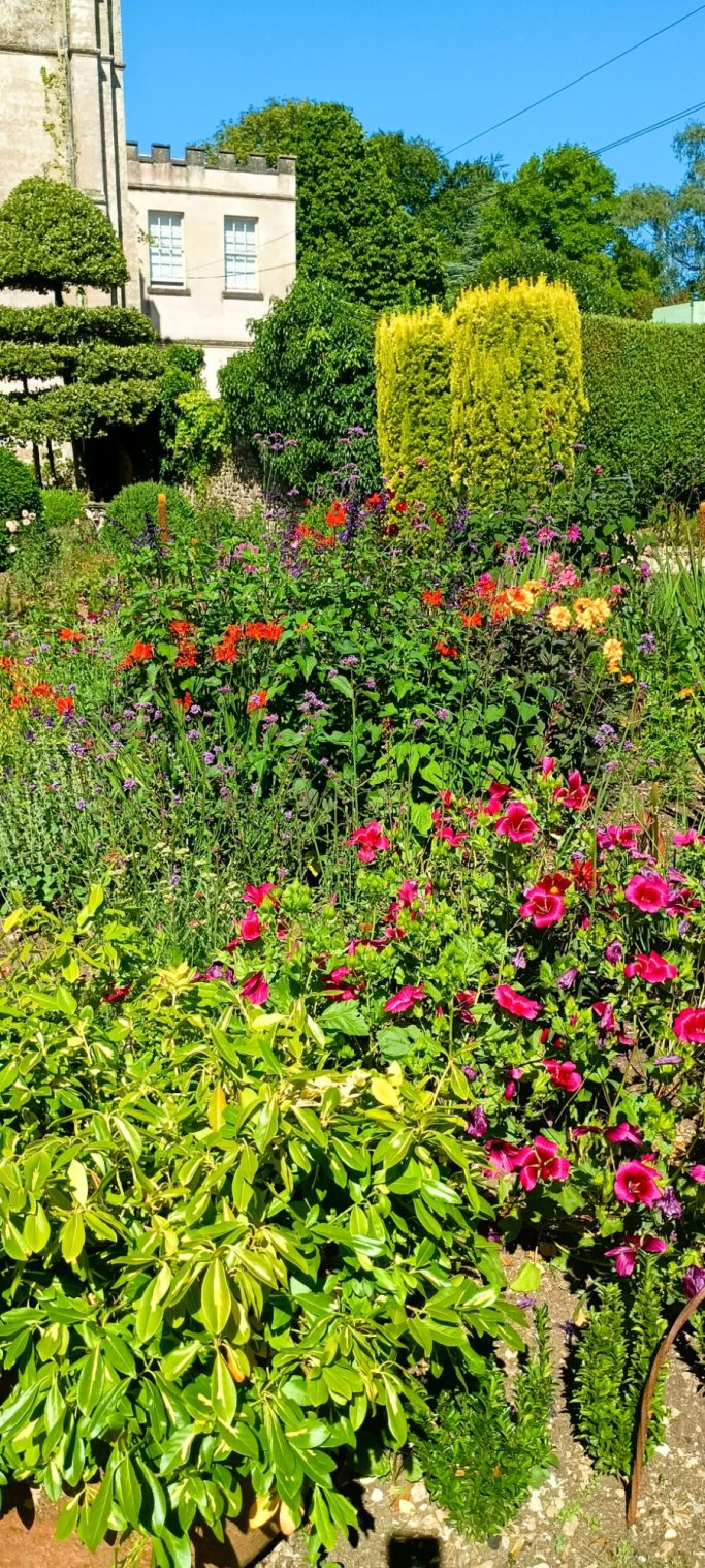 NT Newark Park Gardens
