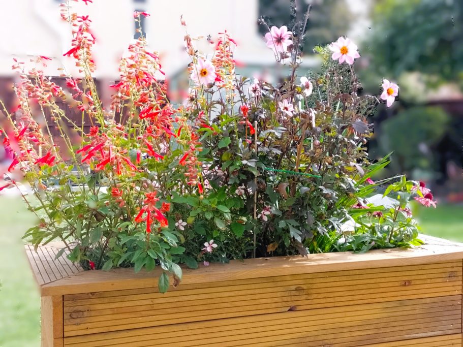 Pink themed planter